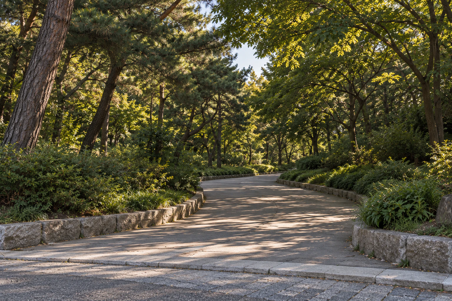 公園入口的樹蔭和散步道的起點，無人。編輯圖片。