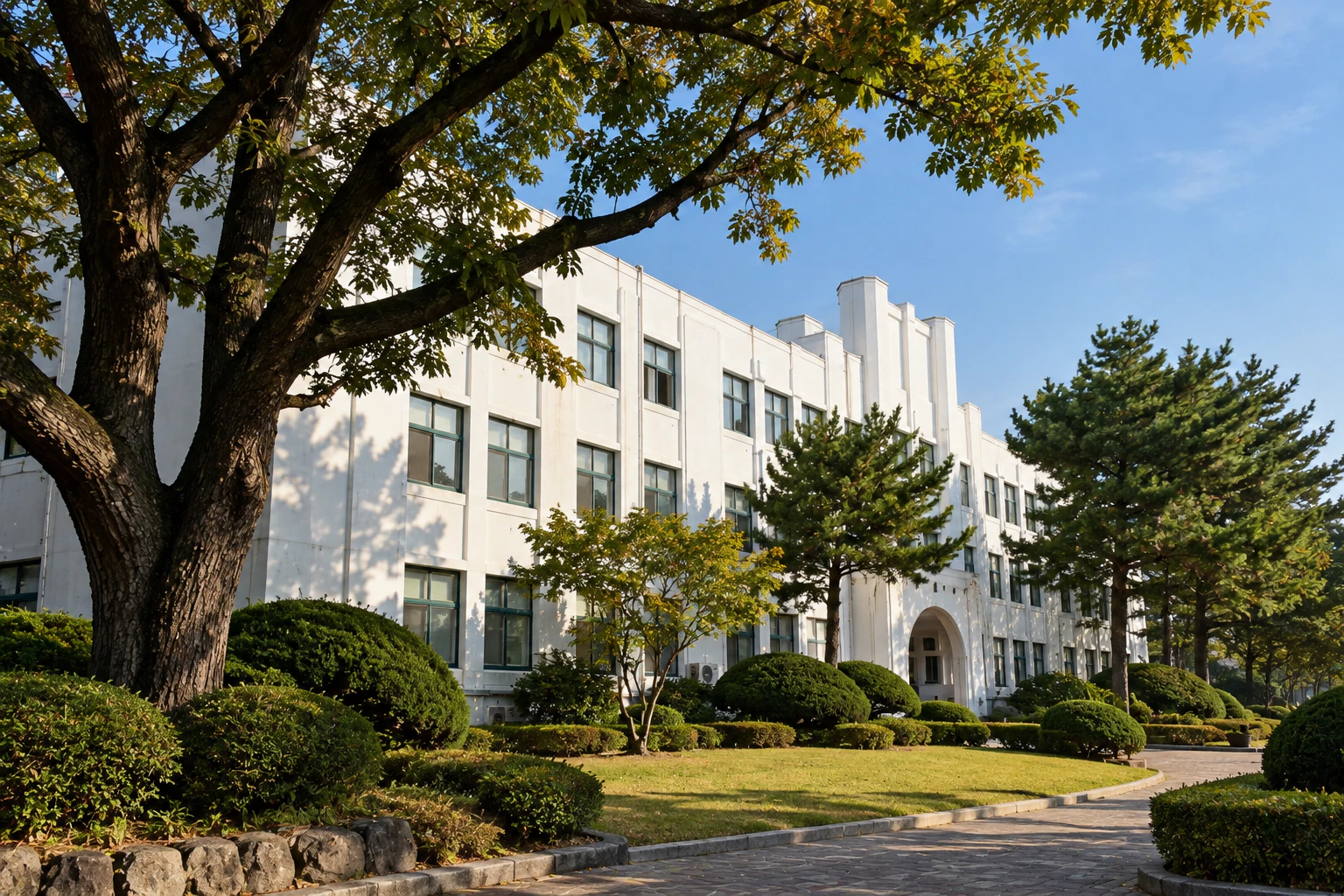 A white building and a large tree seen from the side, no lettering. Editorial image.