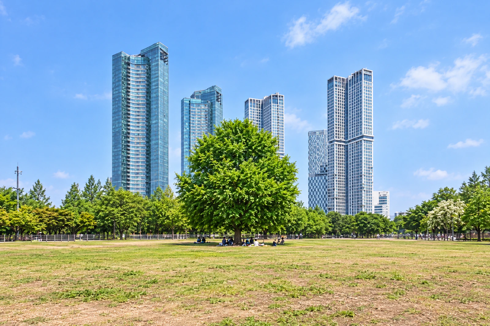 A single large leafy tree in the middle of a wide lawn, with rows of trees in the distance. People small and distant. Editorial image.