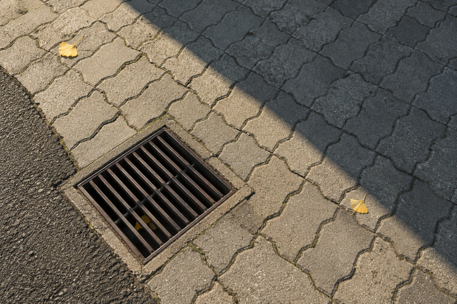 A plain square drain grating set into grey interlocking pavers in a Seongsu back lane, a long diagonal afternoon shadow crossing the pavers beside it, a few ginkgo leaves, no people