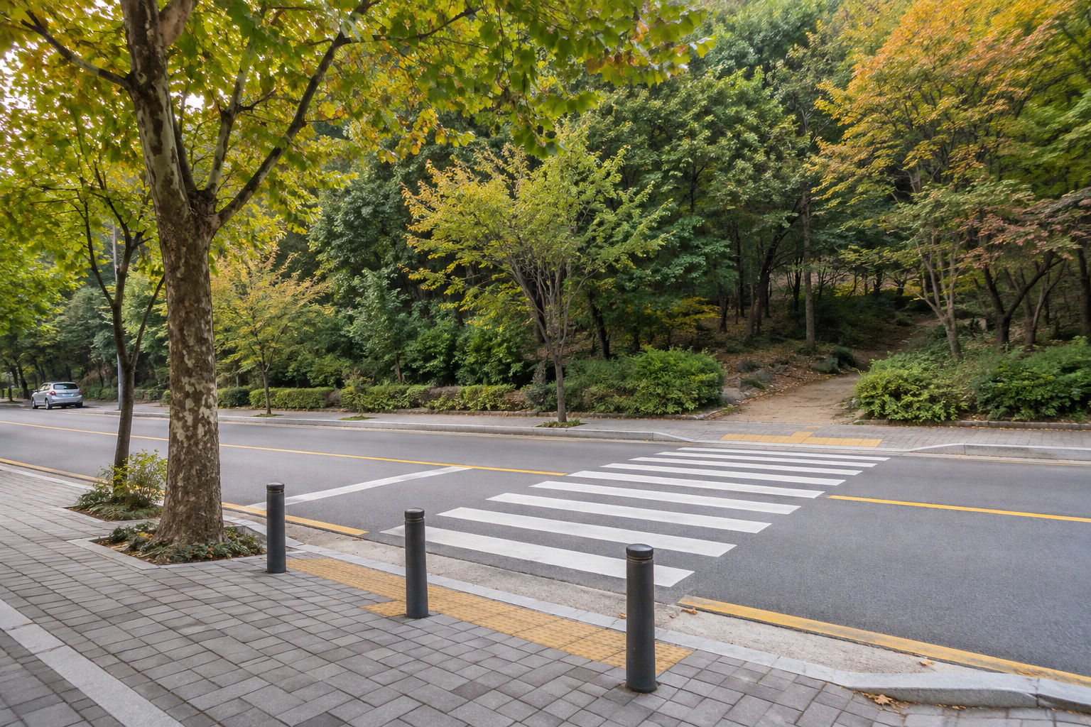 畫面依序是林蔭人行道、短斑馬線和對面的綠意入口。無人。