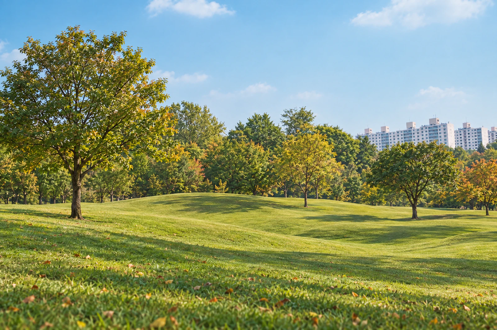 Softly rolling grassy hills with scattered trees. No people. Editorial image.