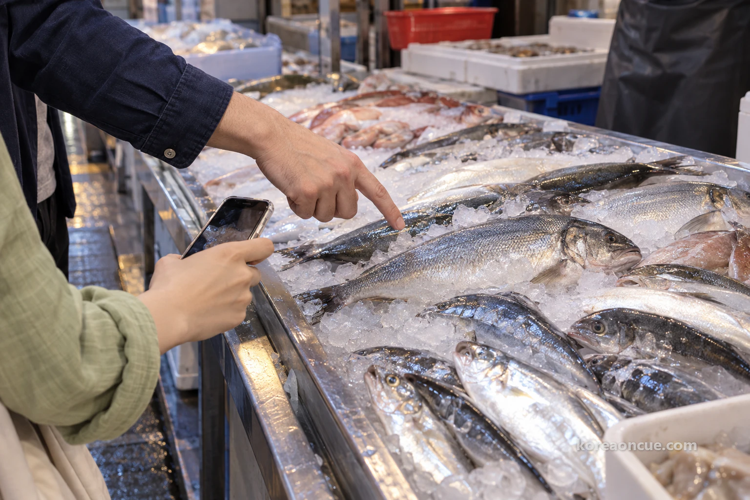 Close-up of a hand pointing just above silvery fish laid on crushed ice and another hand beside it holding a phone low to film, the hem of a dark apron at the edge of the frame, cold light reflecting off the ice. Editorial image.
