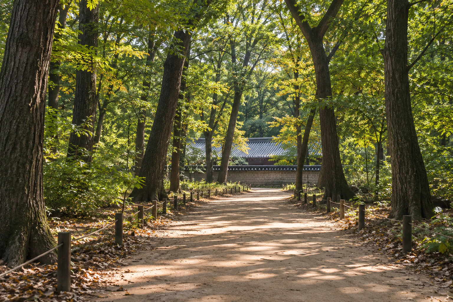 키 큰 나무 사이로 이어지는 흙길, 멀리 나무 사이로 낮은 담과 기와지붕이 보인다. 사람 없음. 편집 이미지.